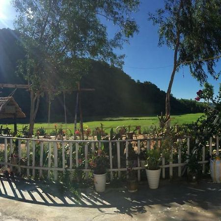 Phong Nha Rice Field Homestay Екстериор снимка