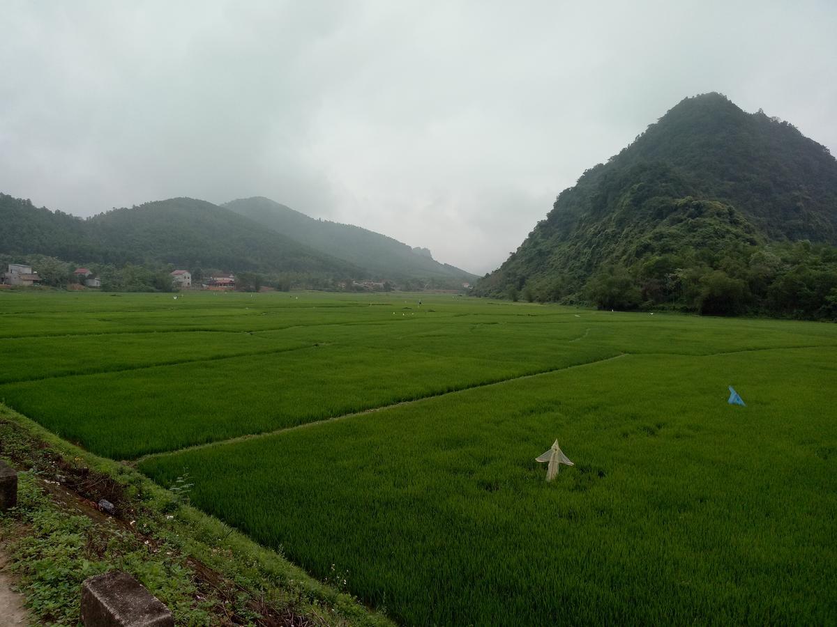 Phong Nha Rice Field Homestay Екстериор снимка