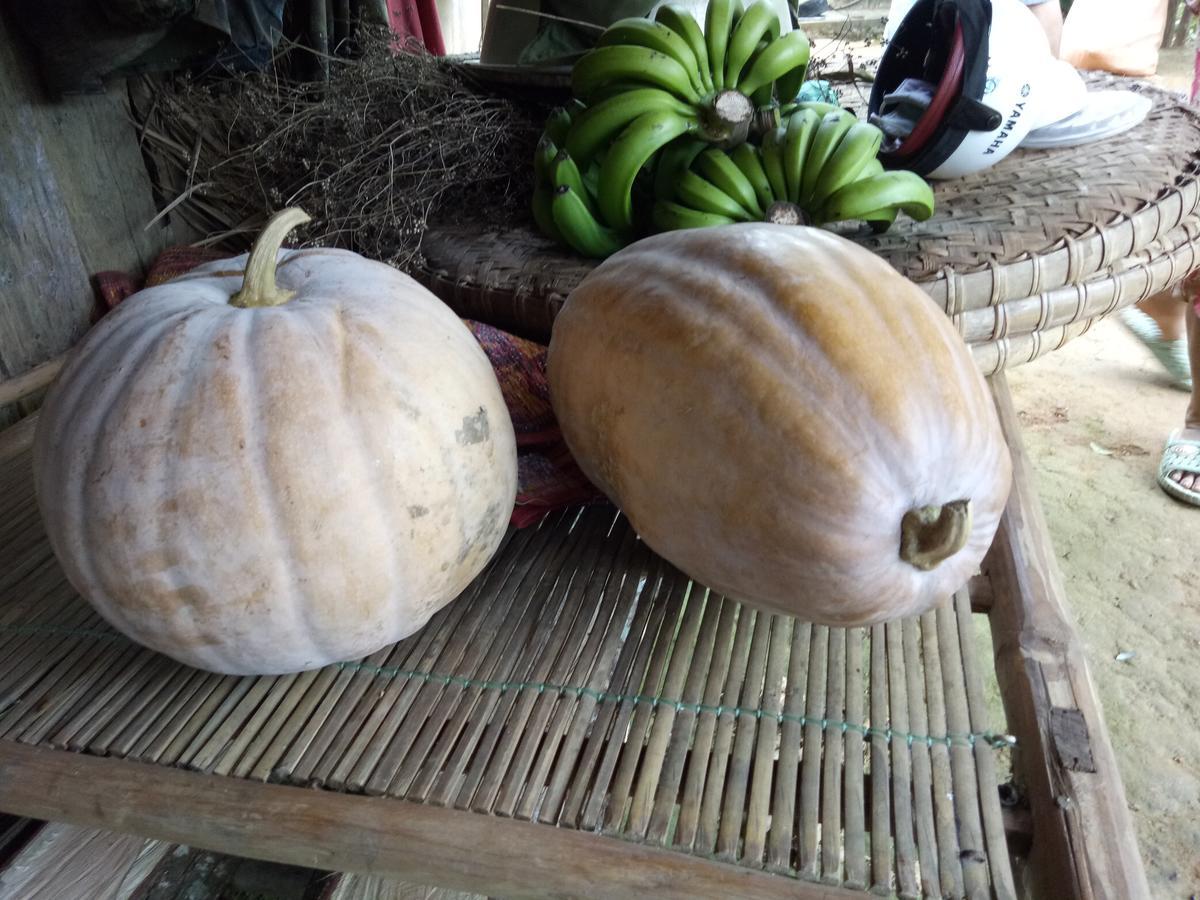 Phong Nha Rice Field Homestay Екстериор снимка