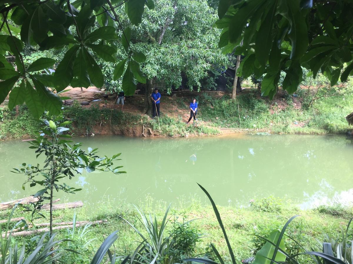 Phong Nha Rice Field Homestay Екстериор снимка
