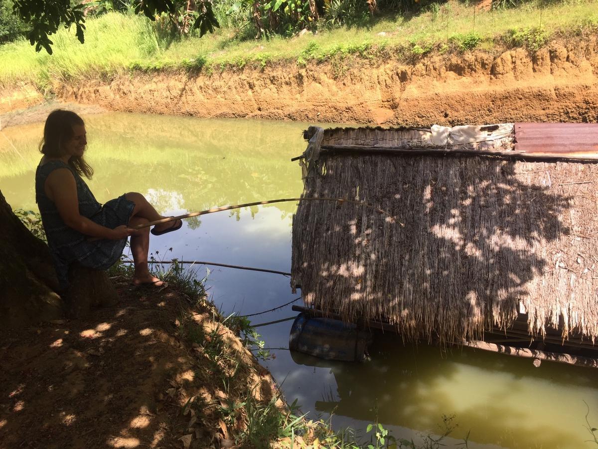 Phong Nha Rice Field Homestay Екстериор снимка