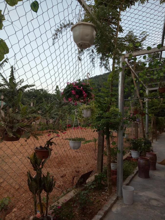 Phong Nha Rice Field Homestay Екстериор снимка