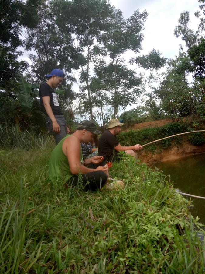 Phong Nha Rice Field Homestay Екстериор снимка